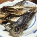 주식회사 거북 이미지