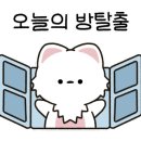 하이맥스 플레이 이미지