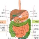 오른쪽으로 누워서 자면 왼쪽으로 자는 것과 다를까 이미지