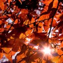 남수한의원 이미지