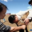 이상기목장 이미지