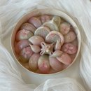 오설기 이미지