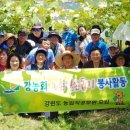 강원도청 이미지