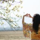 숲속의하루 이미지