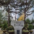 별망초앞 이미지