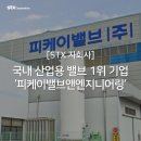 피케이항공 이미지