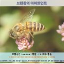 브린플로어 | 카메론 하일렌즈 여행 후기: 브린창 아파트먼트 추천