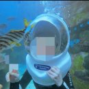 언더워터플레이김녕점