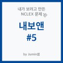 RR-743[지지로]-하-10 | 내보앤 #5 - 내가 보려고 만든 NCLEX