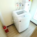 토운모닝톤 이미지