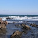 제 185차 해파랑길 46구간 - 소금산 출렁다리 이미지