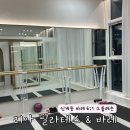 비트 앤 건강요가 | 인계동 바레 리아필라테스 앤 바레 6대1 그룹수업 2회차 후기