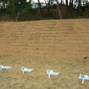 자연장지 이미지