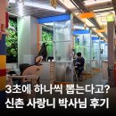 새파란약국 | 신촌 사랑니 발치 잎사귀 치과 3초 사랑니 박사님 후기