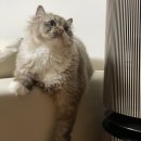 한빛치과병원 | [2602] 2월은 아직도 추웟 ! 봄아 얼른 와 !