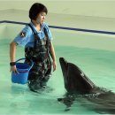 구미마린 이미지