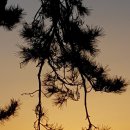 노을에무초 이미지