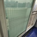 동지크린 이미지