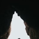 노블리결혼정보