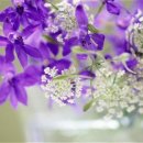 (주)정다운세상
