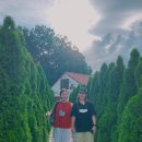 메타로라 이미지