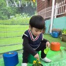 예쁜꼬마어린이집 | [본오동 해냄어린이집] 식목일 맞이 '꼬마 정원사'들의 팬지 꽃 모종 심기