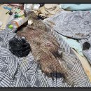 평택유품정리화재청소특수청소 네이버블로그
