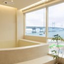 알리스테이 이미지