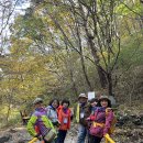 제551차 YKA 산악회 11월 산행 및 25년 하반기 전국 산행 이미지
