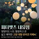(주)펫앤펫츠 | [피터펫츠 내유점] 넓고 쾌적한 고양 대형 반려견 카페 추천 내돈내산
