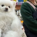 보리정식당 이미지