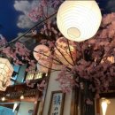 모모일식 이미지