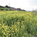 늑도민박 이미지