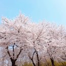 [시민]중국어회화 이미지