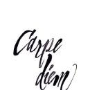 카르페디엠 이미지