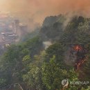 대구서변초등학교조야분교장 서울경제
