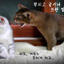 놀아줘 - 영등포구 선유동1로 6-7 | 놀아줘