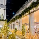 성수카인테리어 | 성수 카페씨떼 후기｜대형 크리스마스 트리 포토존 예쁜 성수 감성카페 리뷰