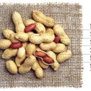 땅콩푸드 이미지