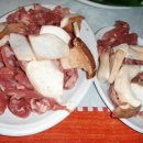 유명갈매기 이미지