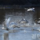 전북야생동물구조관리센터 이미지