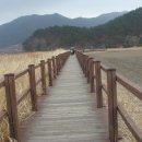 순천만 숲3 이미지