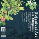 양림미술관 이미지