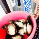 청학횟집 이미지