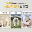 양구동물병원