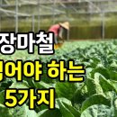 7월 장마철 심는 작물 5가지 이미지