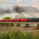 베이비파크(코솜코리아) 이미지