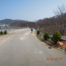 삼웅1리 티스토리