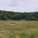 물영아리오름 이미지