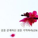 광야의 길을 걷게하신 것을 기억하라(신8:1~6) 이미지